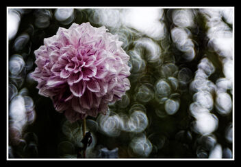 kind of separation - Free image #485705
